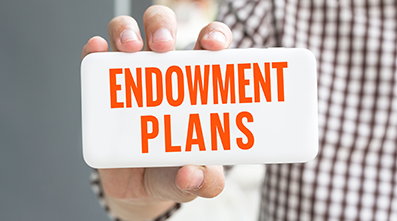Essentials of Endowment Plans: An Exploratory Study