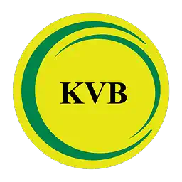 Karur Vysya Bank image